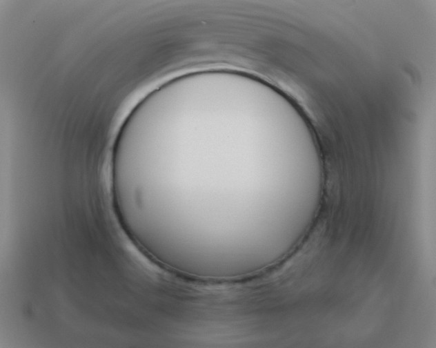 X0000114061516200910191449