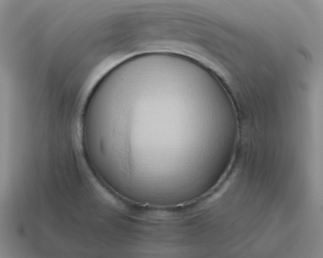 X0000114061517200910191449