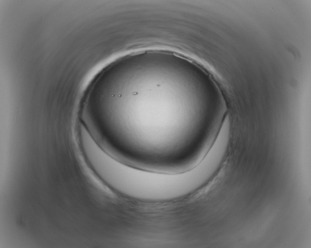 X0000114061518200910191449