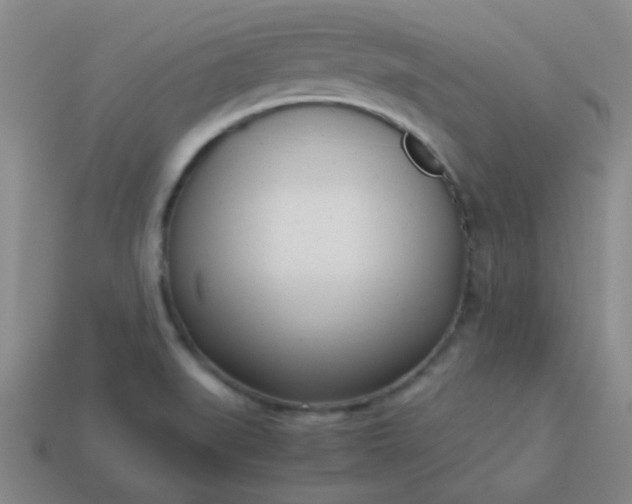 X0000114061519200910191449