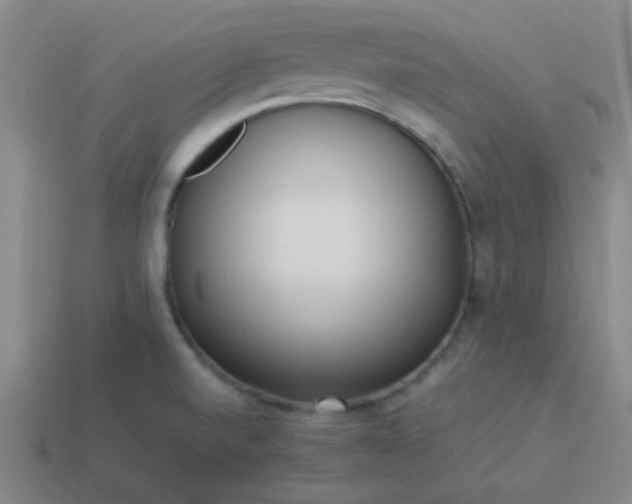 X0000114061520200910191449