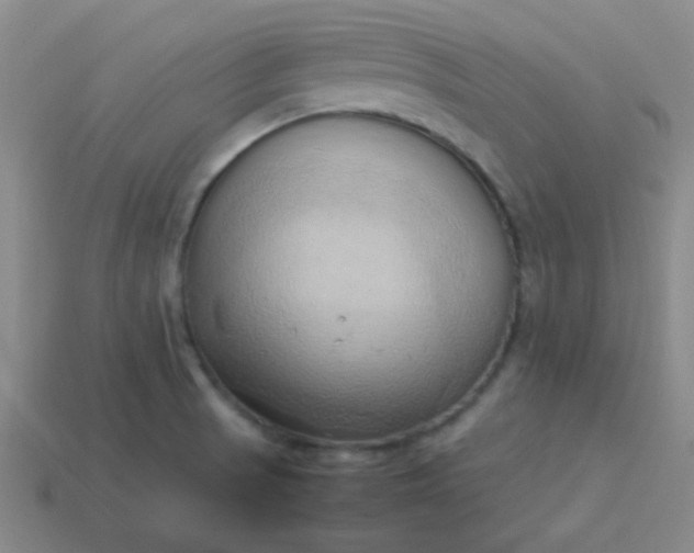 X0000114061521200910191449