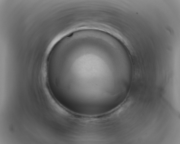 X0000114061522200910191449