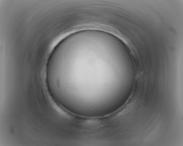 X0000114061523200910191449