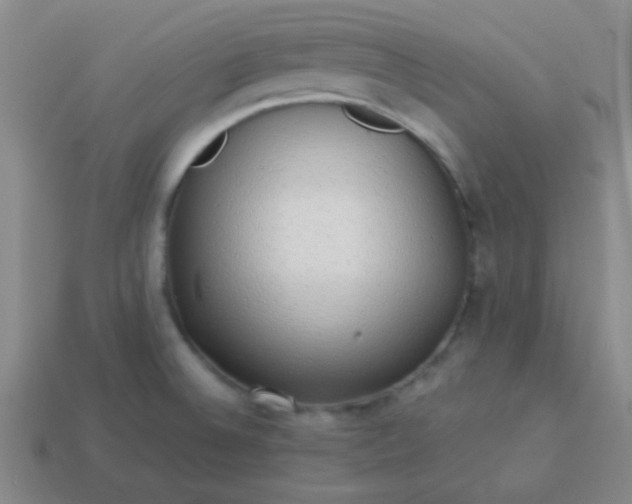 X0000114061524200910191449