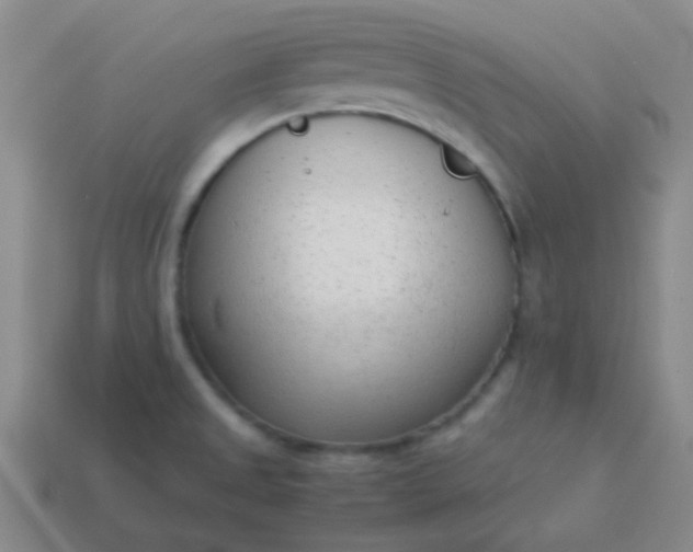 X0000114061525200910191449