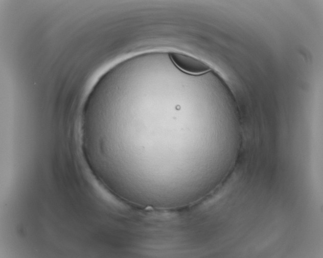 X0000114061526200910191449