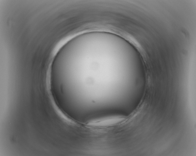 X0000114061528200910191449