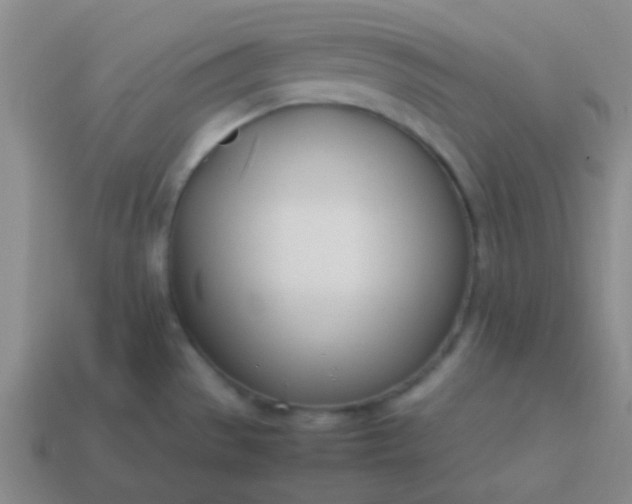 X0000114061529200910191449