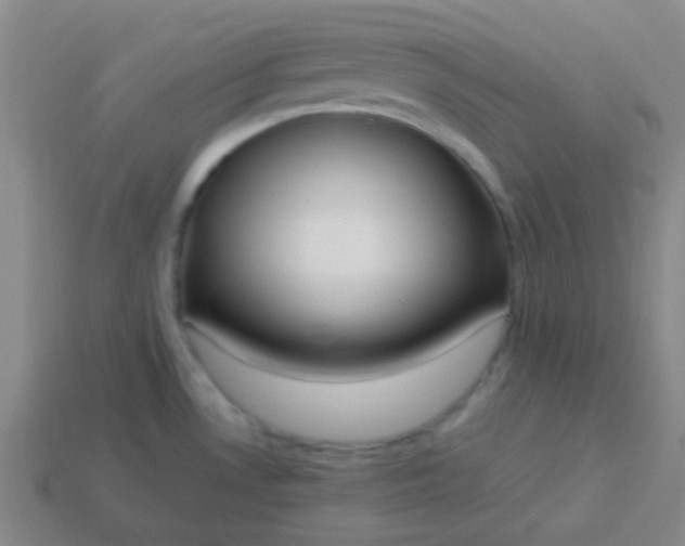 X0000114061530200910191449