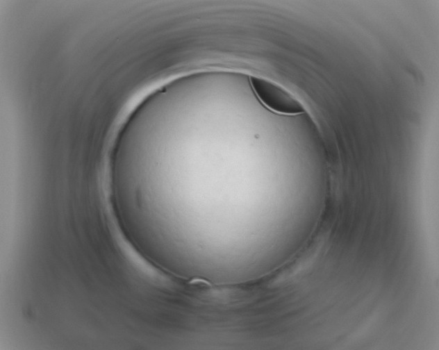 X0000114061531200910191449