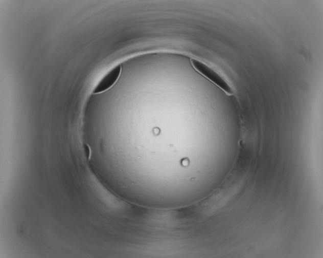 X0000114061532200910191450