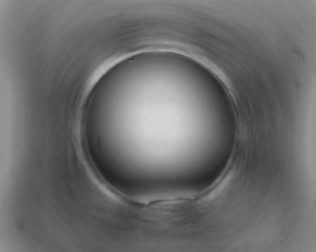 X0000114061533200910191450