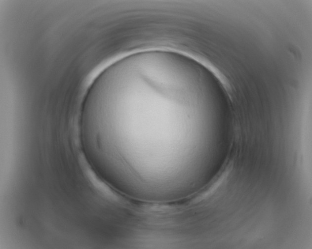 X0000114061534200910191450