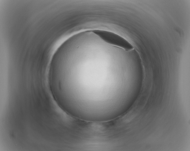 X0000114061536200910191450