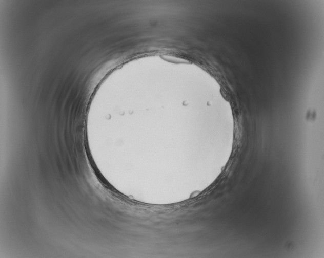 X0000114060003200911161139