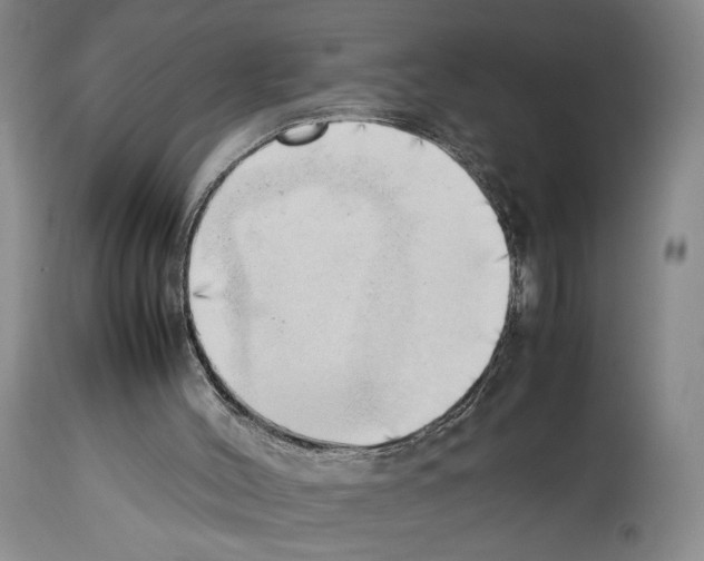 X0000114060004200911161139