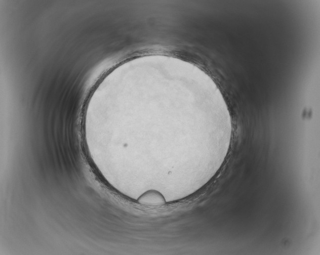 X0000114060006200911161139