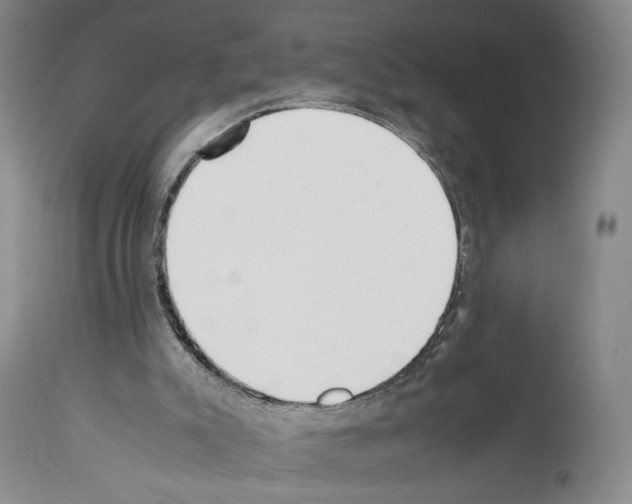 X0000114060007200911161139