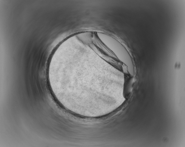 X0000114060008200911161139