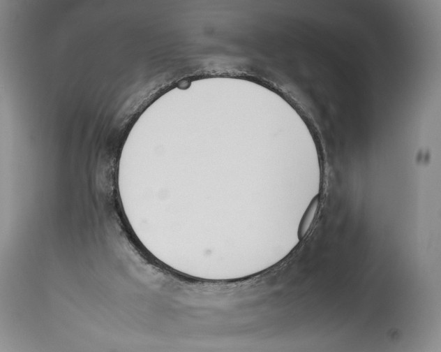 X0000114060009200911161139