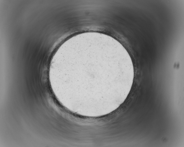 X0000114060012200911161139