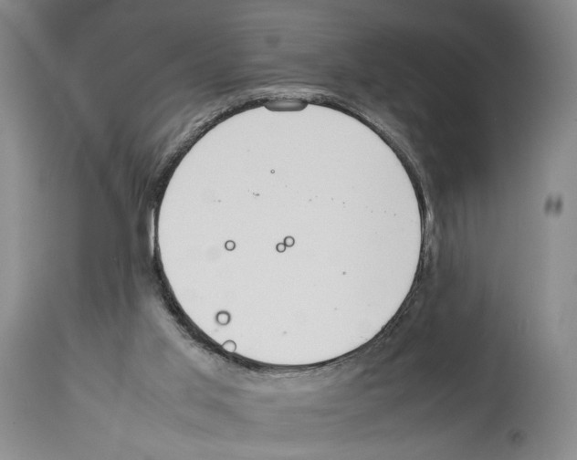 X0000114060013200911161139