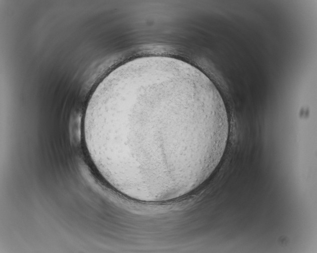 X0000114060014200911161139