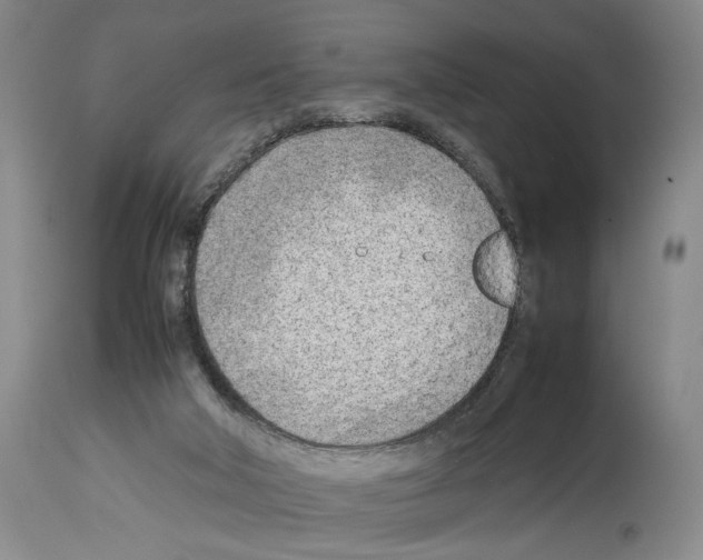 X0000114060018200911161139