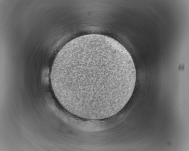 X0000114060024200911161139