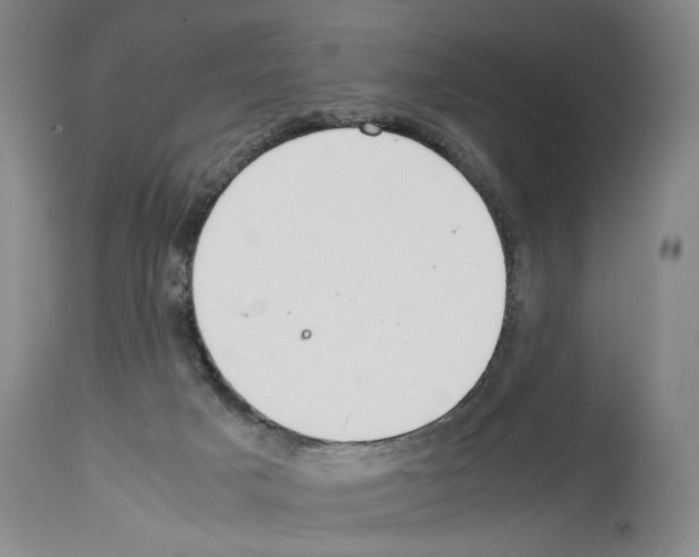 X0000114060025200911161139