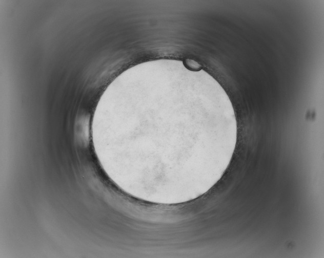 X0000114060028200911161139