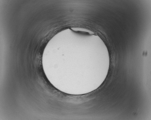 X0000114060029200911161139