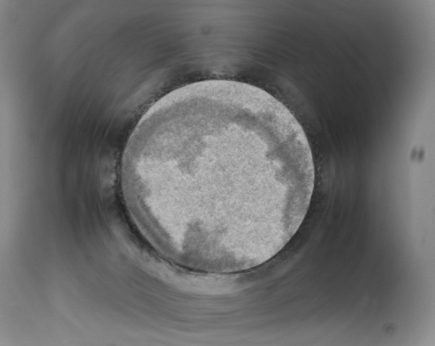 X0000114060032200911161139