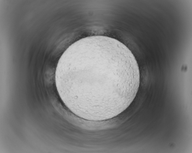 X0000114060034200911161139