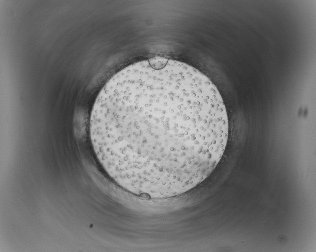 X0000114060038200911161139