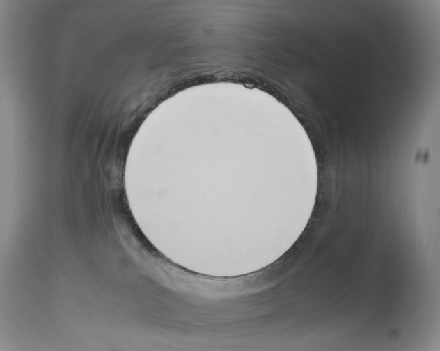 X0000114060039200911161139