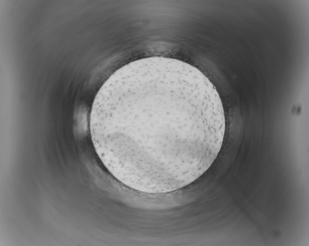 X0000114060042200911161139