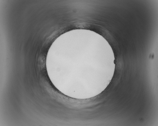 X0000114060043200911161139