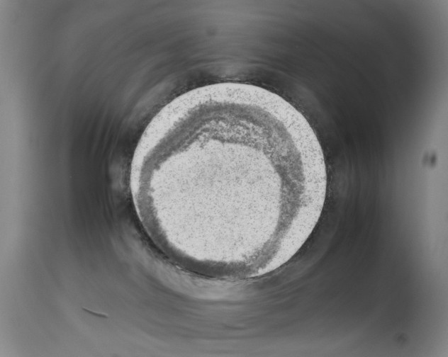 X0000114060044200911161139