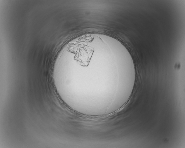 X0000114060045200911161139