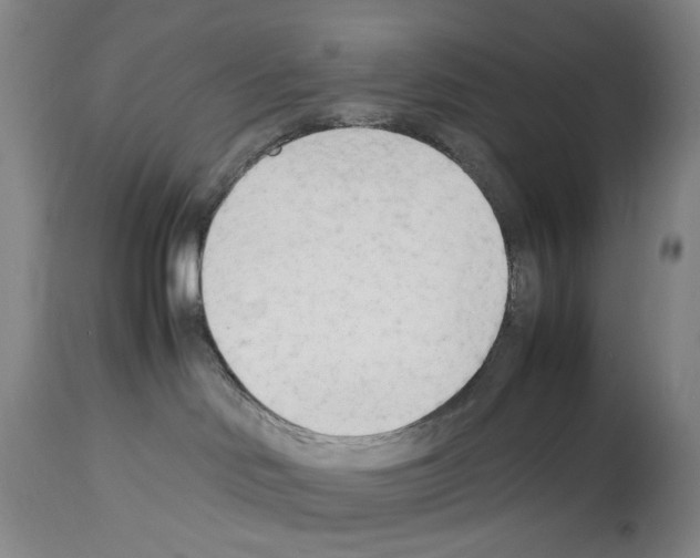 X0000114060046200911161139