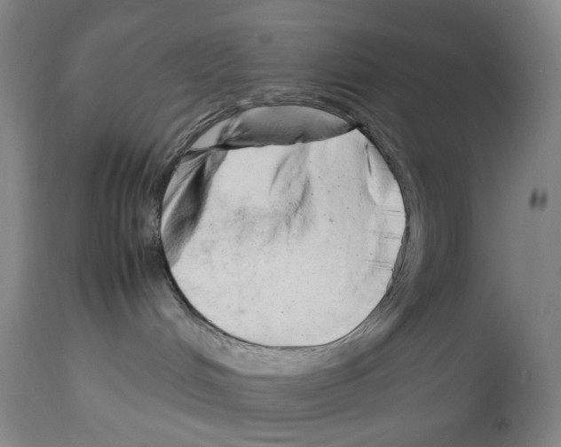 X0000114060048200911161139