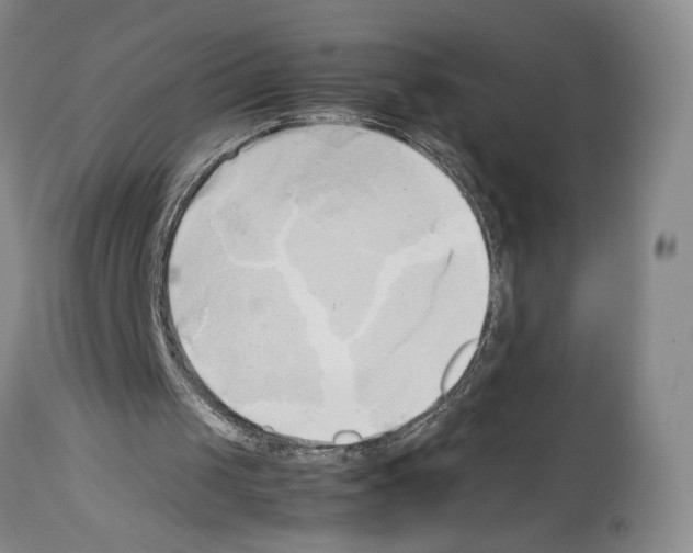 X0000114060049200911161138