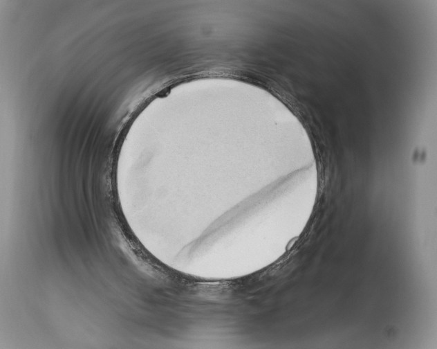 X0000114060050200911161138