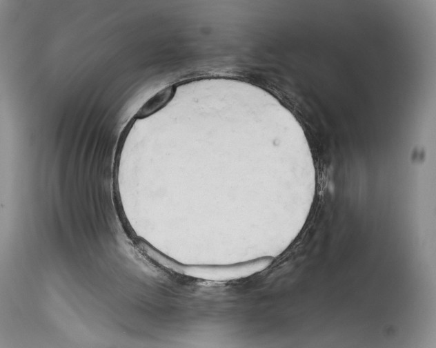 X0000114060052200911161138