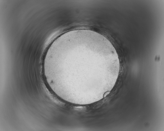 X0000114060053200911161138