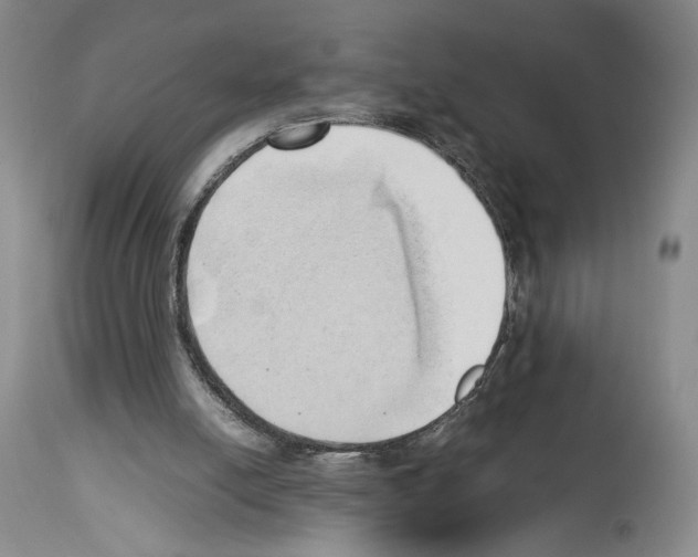 X0000114060054200911161138