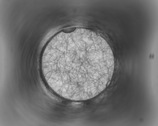 X0000114060055200911161138