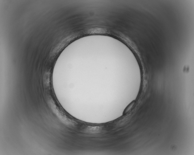 X0000114060057200911161138